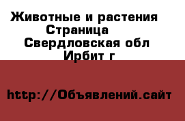  Животные и растения - Страница 11 . Свердловская обл.,Ирбит г.